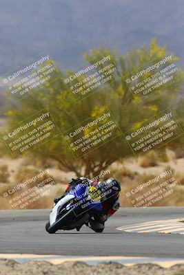 media/Apr-10-2022-SoCal Trackdays (Sun) [[f104b12566]]/Turn 5 Tree of Life (1040am)/